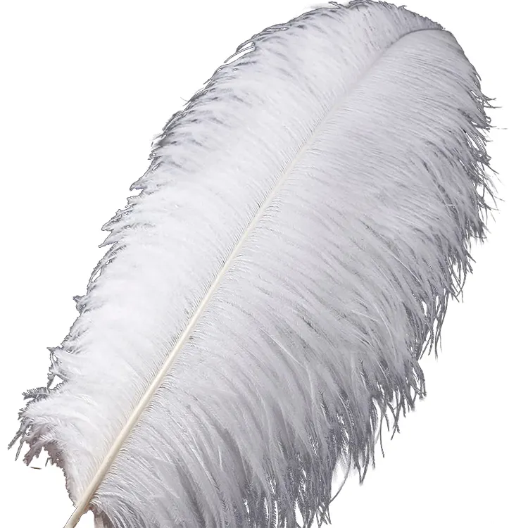 Centros de mesa de plumas de avestruz blancas para mesa de boda, pluma Natural grande, accesorios de carnaval, Pluma para decoración de jarrón