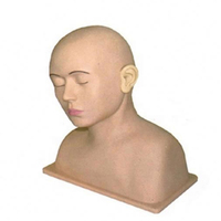 Simulador avanzado de irrigación de oídos, modelo anatómico, entrenamiento de ciencia médica, maniquí de PVC, escuela médica, otros educativos