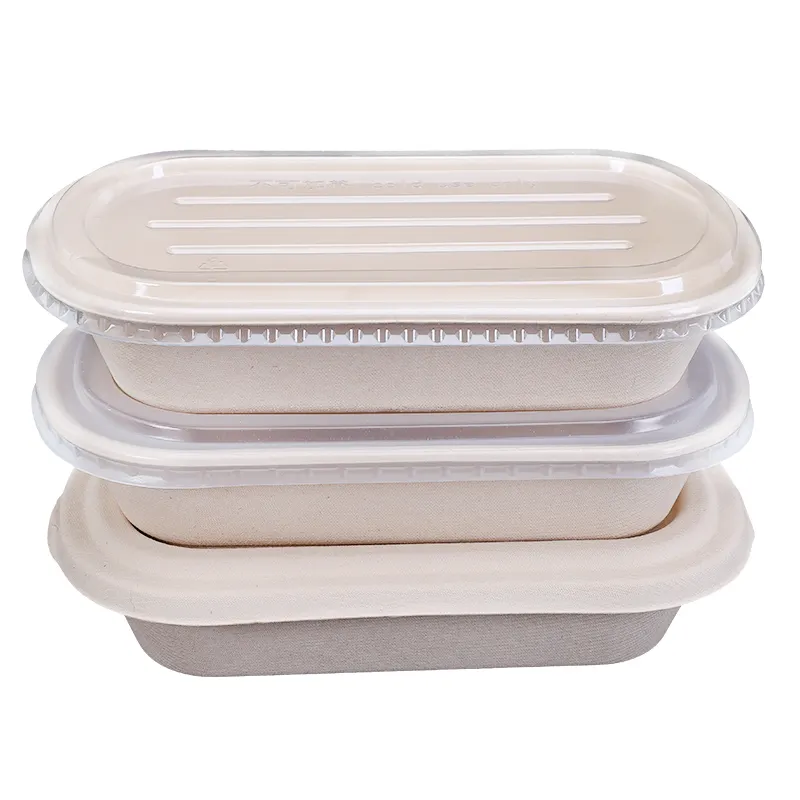 Biodegradable Disposable Bagasse Pulp Food Containers Compostable Takeaway Sugarcane Tableware 1000ml 1 2 Compartments Oval Bowl