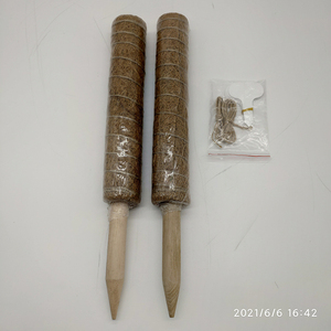 40Cm Plant Pole Plastic Climbers