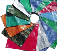 Grande bâche imperméable de 8 'X 10' d'épaisseur bâche en poly bâches de protection polyvalentes avec œillets