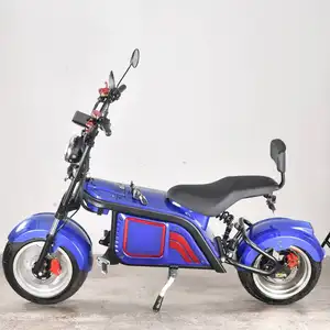 2023 High Power Brushless Electric New Scooter 2000W 3000W Electric Motorcycle