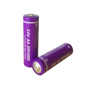 PKCELL Batteries primaires au lithium AA ER14505 LS14500 TL-5903 3.6V 2400mAh batterie au lithium