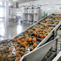 Chinese fabrikant op maat gemaakte industriële machine voor ananassap, laag energieverbruik, hoge efficiëntie, kleine schaal