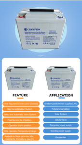 <span class=keywords><strong>24</strong></span> 개월 보증 <span class=keywords><strong>AGM</strong></span> 12V 납 산 배터리 55AH 젤 태양 전지 전력 시스템 업 용 - Product Image 5