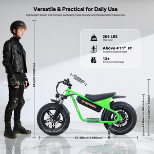 New <strong>Product</strong> 36v 10.4Ah 350w <strong>Motor</strong> Fatbike Fat Tire Mountain City Pedal Assisted E-<strong>bike</strong> 16 Inch Electric Dirt <strong>Bike</strong> - Product Image 5