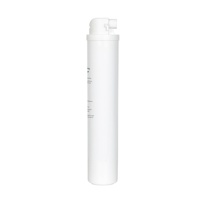 Cartouche de filtre à osmose inverse Filterpur Straight Insert Design 100G Ro