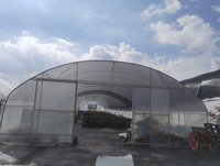 Serre tunnel agricole en acier galvanisé avec film plastique écologique pour la culture de tomates, laitues et poivrons