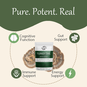 Poudre de champignon Queue de dinde OEM/ODM pour le bien-être, l'équilibre intestinal et le soutien énergétique, Extrait de Queue de dinde, Complément alimentaire à base de champignons - Product Image 3