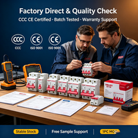 Mini Interruptor Automático Delixi MCB 2P, Carcasa IP20, Capacidad de Ruptura de 6kA, Protección Li, Certificación CCC CE, Múltiples Tipos