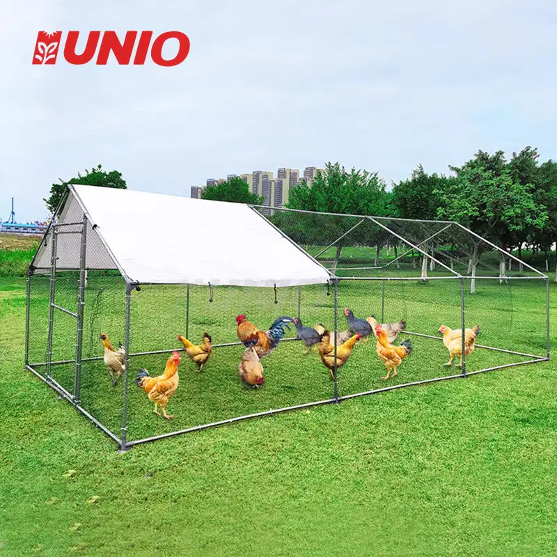 Very Durable 6M Home Use Small Design Chicken House Cage For 1000 Chickens Chicken Coop