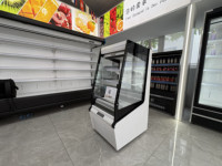 Réfrigérateur commercial Secop Mini semi-hauteur à refroidissement par air pour boissons et présentation de gâteaux