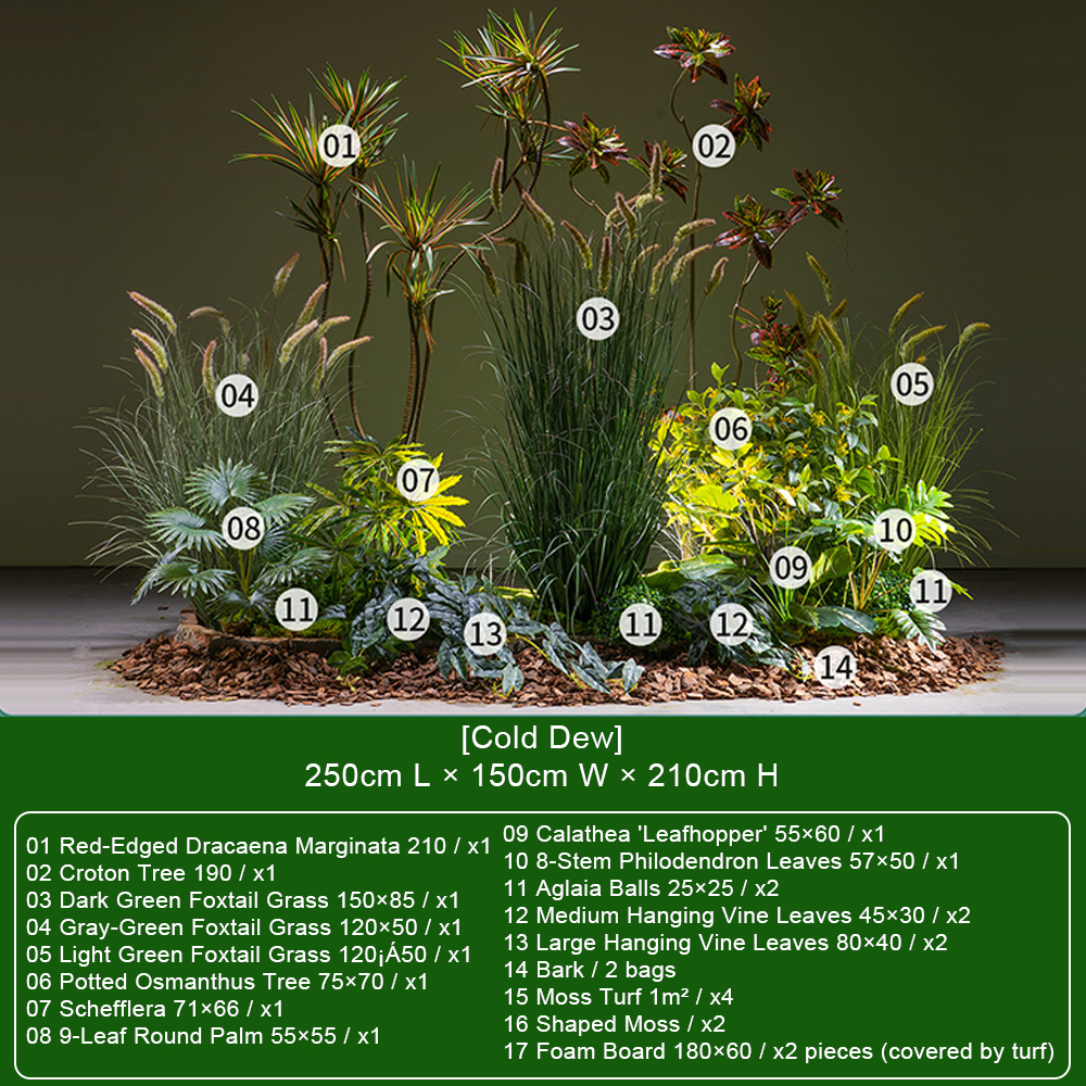 [Cold Dew] Ensemble avec Dracaena Marginata et Foxtail