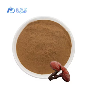 Novenzym Supply Bio Red Reishi Pilzex trakt Pulver Polysaccharide - Product Image 1