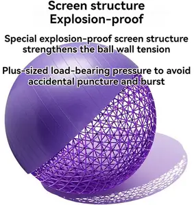 중국 제조업체 판매 75cm 요가 볼 미끄럼 방지 Pvc 맞춤형 안정성 체조 운동 요가 밸런스 볼