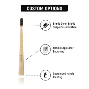 Compostable Biodegradable Ergonomic <strong>Toothbrush</strong> With Bamboo Handle <strong>Travel</strong> Box and High Quality Charcoal Bristles - Product Image 4