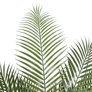 115Cm Nhân Tạo Cây Cọ Nhựa Màu Xanh Lá Cây Cây Cọ Giả Chậu Cây Cây Nhân Tạo Cho Nhà Văn Phòng Trang Trí Sân Vườn - Product Image 2