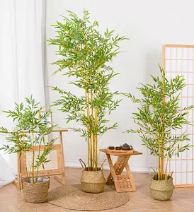 Yüksek kaliteli açık bambular bırakın bitki bambu ağacı yapay iniş bitkileri terzi ağacı mini bambu yapay Bambusa