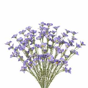 Hot Sale Handmade Artificial Long Snow Willow Branch White Flowers Stem Greenery Plants Home Wedding Graduation Floral - Product Image 1