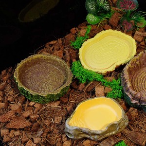 Plateforme d'escalade pour reptiles, bol d'eau pour reptiles, résine robuste et durable, décor de terrarium en pierre simulée, bol à nourriture pour reptiles - Product Image 3
