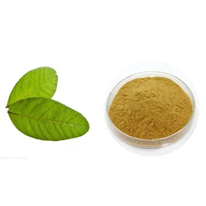 グアバ葉エキスパウダー - Product Image 6
