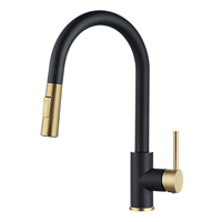 Robinet de cuisine de style britannique à tirette Finition noire et dorée Robinet de cuisine de construction en laiton pour la cuisine
