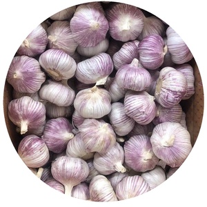 <span class=keywords><strong>Ajo</strong></span> Blanco Normal Fresco <span class=keywords><strong>de</strong></span> China, 10 kg/20 kg, Caja <span class=keywords><strong>de</strong></span> Exportación, Cumple con las Normas GAP, <span class=keywords><strong>Ajo</strong></span> Alho - Product Image 3
