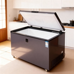 Congelatore a Pozzetto di Grande Capacità con Raffreddamento Diretto per Uso Commerciale e Supermercati - Product Image 6