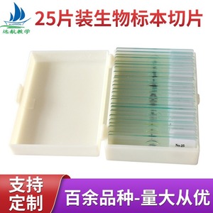 Experimental biological <b>microscope</b> specimen slides, 25 types of biological teaching materials, biological slide specimens - Product Image 5