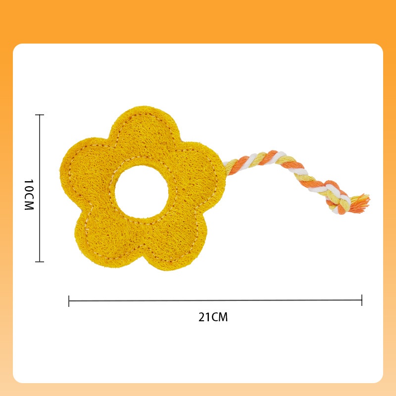 ดอกไม้สีเหลืองเล็ก