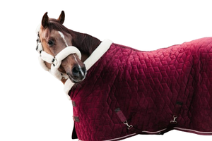 Couverture d'écurie pour chevaux en velours doublé de polyester durable, tailles personnalisées pour la protection hivernale - Product Image 5