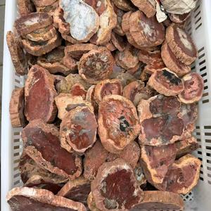 Tranche de bois fossile en cristal naturel de différentes tailles, cristal poli, dalle de bois pétrifié, tendance de la mode, décoration de la maison pour la Saint-Valentin - Product Image 2