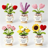 Mini pot de fleurs en crochet pour plantes d'accompagnement émotionnel, décoration de bureau tricotée