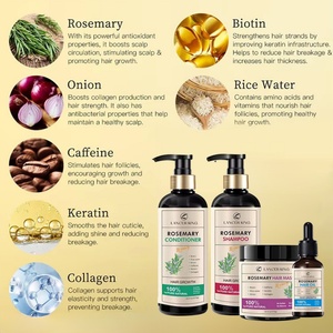 Wholesale Custom Hair Care Sets <b>Shampoo</b> and Conditioner Hair Growth Oil Anti Dandruff <b>Shampoo</b> - Product Image 2