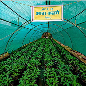 Mallas de sombreado moldeadas, mallas de sombreado de filamentos, redes de India, redes de plástico para agricultura - Product Image 3
