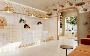 Conception d'intérieur personnalisée pour animalerie, mobilier pour salon de toilettage, aménagement de magasin de détail, solution d'aménagement moderne en bois crème pour animalerie - Product Image 5