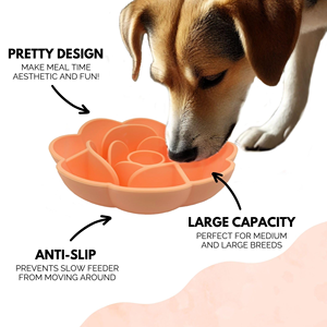 Pet Food Bowl Anti Choking Fat <b>Cat</b> Pet <b>Feeder</b> Bowl Easy to Clean Dogs Eat Dish Non Slip Puppy Pets Slow Silicone Feeding Bowls - Product Image 4
