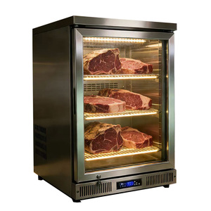 Petit <span class=keywords><strong>armoire</strong></span> de maturation pour viande de bœuf domestique, 1 porte, garantie 1 an, préservation des poissons de mer profonds, affichage vertical pour viande de qualité supérieure et steaks, séchage - Product Image 1
