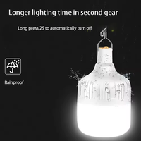 Tragbare Campinglampen Wiederaufladbare LED-Leuchte Laterne Notfallbirne Hochleistungs-Zeltbeleuchtung Taschenlampe Powerbank