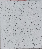 Plafond en laine minérale moderne de 595*595 mm, épaisseur 14 mm, fabriqué en usine, ignifuge et résistant à l'humidité, pour hôtels, gymnases, centres commerciaux