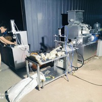 Machine de fabrication de savons entièrement automatique pour petits savons de bain, de savon de lessive et de savon de toilette, de haute qualité, avec fonction d'estampage