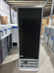 Réfrigérateur solaire à double température mini 108L de 1,48 pi de longueur, 1,51 pi de <span class=keywords><strong>largeur</strong></span> et 4,1 pi de hauteur, à économie d'énergie pour un usage domestique - Product Image 5