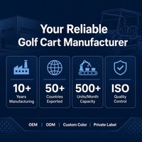 Carrito de Golf Eléctrico de Lujo para 6 Personas, Motor de CA de 4.0kW, Buggy de Golf para Resorts, Villas, Clubes y Hoteles de Alta Gama