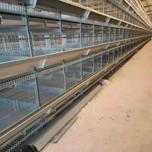 Venta caliente 250 <span class=keywords><strong>pájaros</strong></span> capacidad jaula capa <span class=keywords><strong>segunda</strong></span> <span class=keywords><strong>mano</strong></span> pollo <span class=keywords><strong>jaulas</strong></span> <span class=keywords><strong>para</strong></span> 2000 <span class=keywords><strong>pájaros</strong></span> pequeñas granjas - Product Image 2