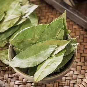 <span class=keywords><strong>Feuilles</strong></span> <span class=keywords><strong>de</strong></span> <span class=keywords><strong>Laurier</strong></span> Entières Séchées Naturelles Premium pour la Cuisine et l'Assaisonnement – Vente en Gros - Product Image 5