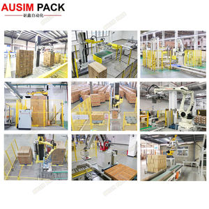 AUSIM PACK Paletizador automático de alta velocidad con servomotor Abb para alimentos para bolsas, papel de cartón, embalaje de plástico - Product Image 2