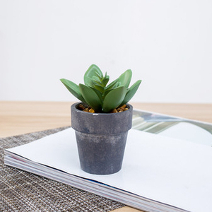 <span class=keywords><strong>Pas</strong></span> cher en gros mini <span class=keywords><strong>cactus</strong></span> extérieur assortiment d'intérieur arrangement artificielle plantes succulentes en pot ensemble - Product Image 2
