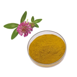 Ekstrak tanaman alami 10% <span class=keywords><strong>isoflavone</strong></span> bubuk ekstrak semanggi merah - Product Image 1