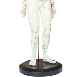 Çin akupunktur modeli insan akupunktur akupunktur modeli vücut noktası 60cm akupunktur modeli - Product Image 5