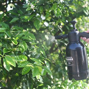 Pulvérisateur manuel à pression d'air 2L pour lavage de voiture, jardinage, arrosage, désinfection, noir - Product Image 1